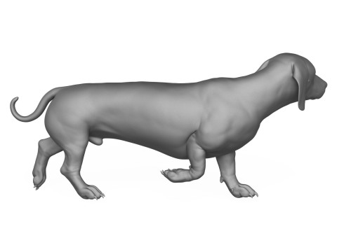 Dachshund Dog 3D Print Model 3D Druckmodell