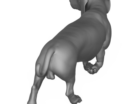 Dachshund Dog 3D Print Model 3D Druckmodell