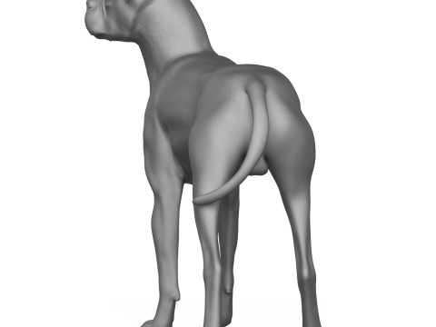Boxer Dog Alert Pose 3D Print Model Model do druku 3D