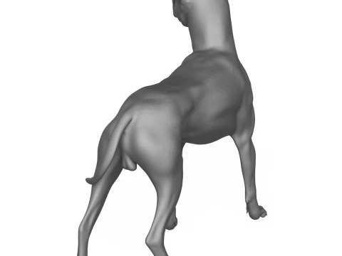 Boxer Dog Alert Pose 3D Print Model 3D Print Model