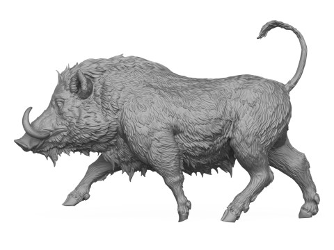 Wild Boar 3D Print Model 3D Druckmodell