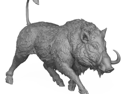 Wild Boar 3D Print Model 3D Druckmodell