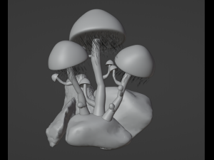 Exotic mushrooms Modèle 3D
