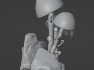 Exotic mushrooms Modèle 3D
