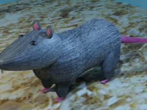 Rat 3Dモデル