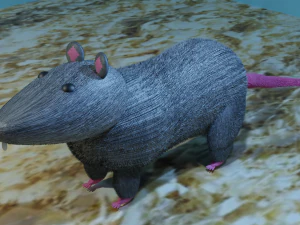 Ratto Modello 3D