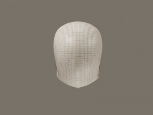 Skull 3D Model