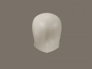 Skull 3D Model