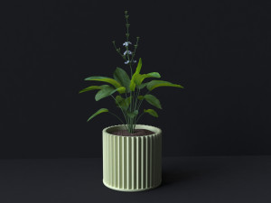 Botanical Bliss 3D Printable Set of 6 Exquisite Flower Pots Model do druku 3D