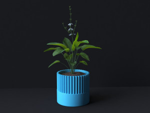 Botanical Bliss 3D Printable Set of 6 Exquisite Flower Pots Model do druku 3D