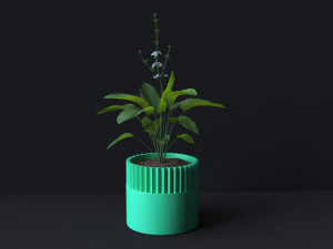 Botanical Bliss 3D Printable Set of 6 Exquisite Flower Pots Model do druku 3D