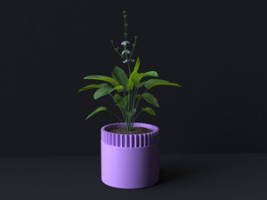 Botanical Bliss 3D Printable Set of 6 Exquisite Flower Pots Model do druku 3D