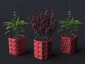 Cube 6 Piece Flower Pot Set - 3D Print Model 3D 打印模型
