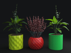3D Printed STL File for Unique Pot and Vase Design 3D Print Model