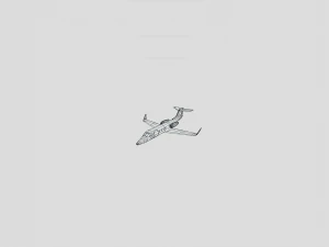 Learjet 25 3D Model