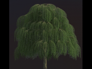 Willow tree CG Texturen