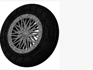 Wheel alloy ion rims and tyre 3D Model