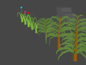 Trees and more 3D Model