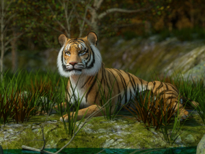 Bengal Tiger Modelo 3D