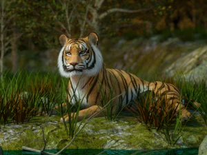 벵골호랑이 3D 모델