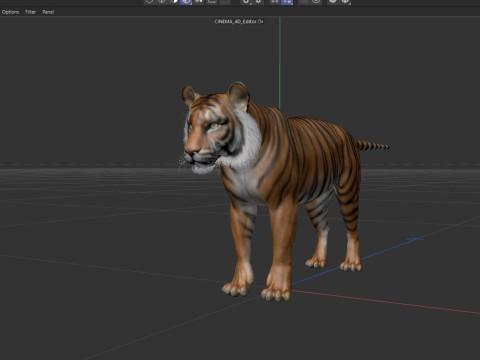 Bengal Tiger Modelo 3D