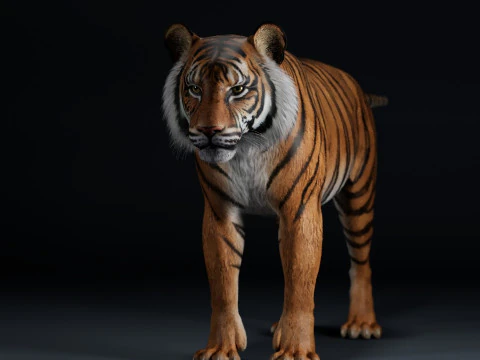 벵골호랑이 3D 모델