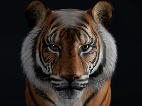 벵골호랑이 3D 모델