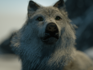 Jon Snow Wolf Modelo 3D