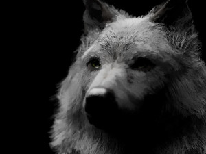 Jon Snow Wolf Modelo 3D