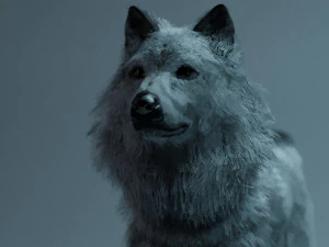 Jon Snow Wolf 3D Model