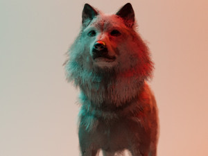 Jon Snow Wolf Modelo 3D