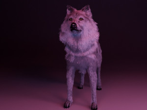 Jon Snow Wolf Modelo 3D