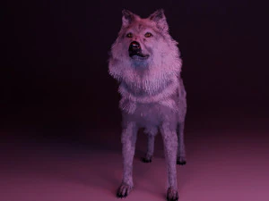 Jon Snow Wolf 3D Model