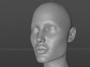 Lara Croft 3D Model