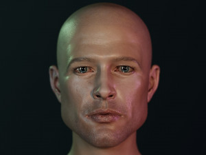 Brad Pitt 3D 모델