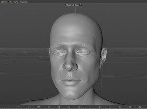 Brad Pitt 3D 모델