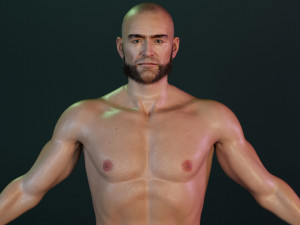 Wolverine 3D-Modell