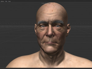 Bryan Cranston Walter White 3D Model