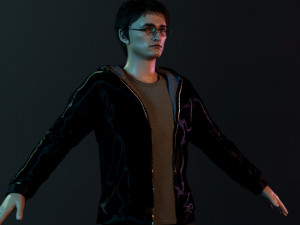 Harry Potter Modelo 3D