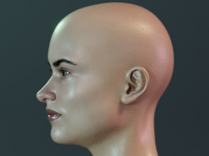 Olivia Wild 3D Model