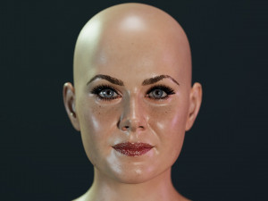 Amy Adams Modèle 3D