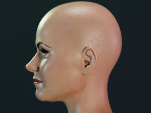 Amy Adams Modèle 3D