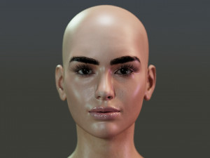 Dua Lipa 3D 모델