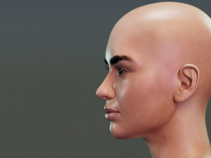 Dua Lipa 3D 모델