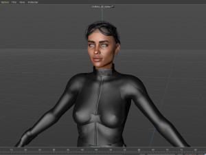 Catwoman Zoe Kravitz 3D Model