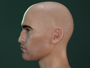 Robert pattinson The Batman 3D Model