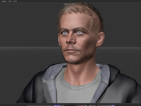The late Paul Walker 3D 모델