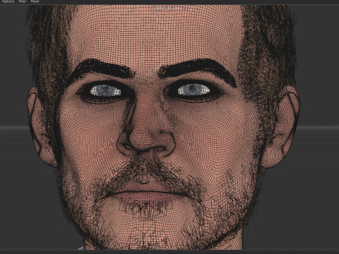 The late Paul Walker 3D 모델