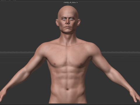 The late Paul Walker 3D 모델
