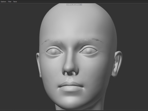 Dakota Fanning 3D Model